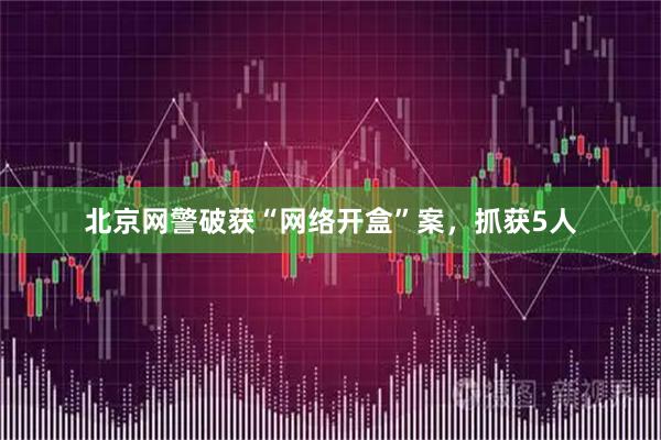 北京网警破获“网络开盒”案，抓获5人
